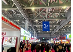 FIC2026: Cooperate & Explore Together